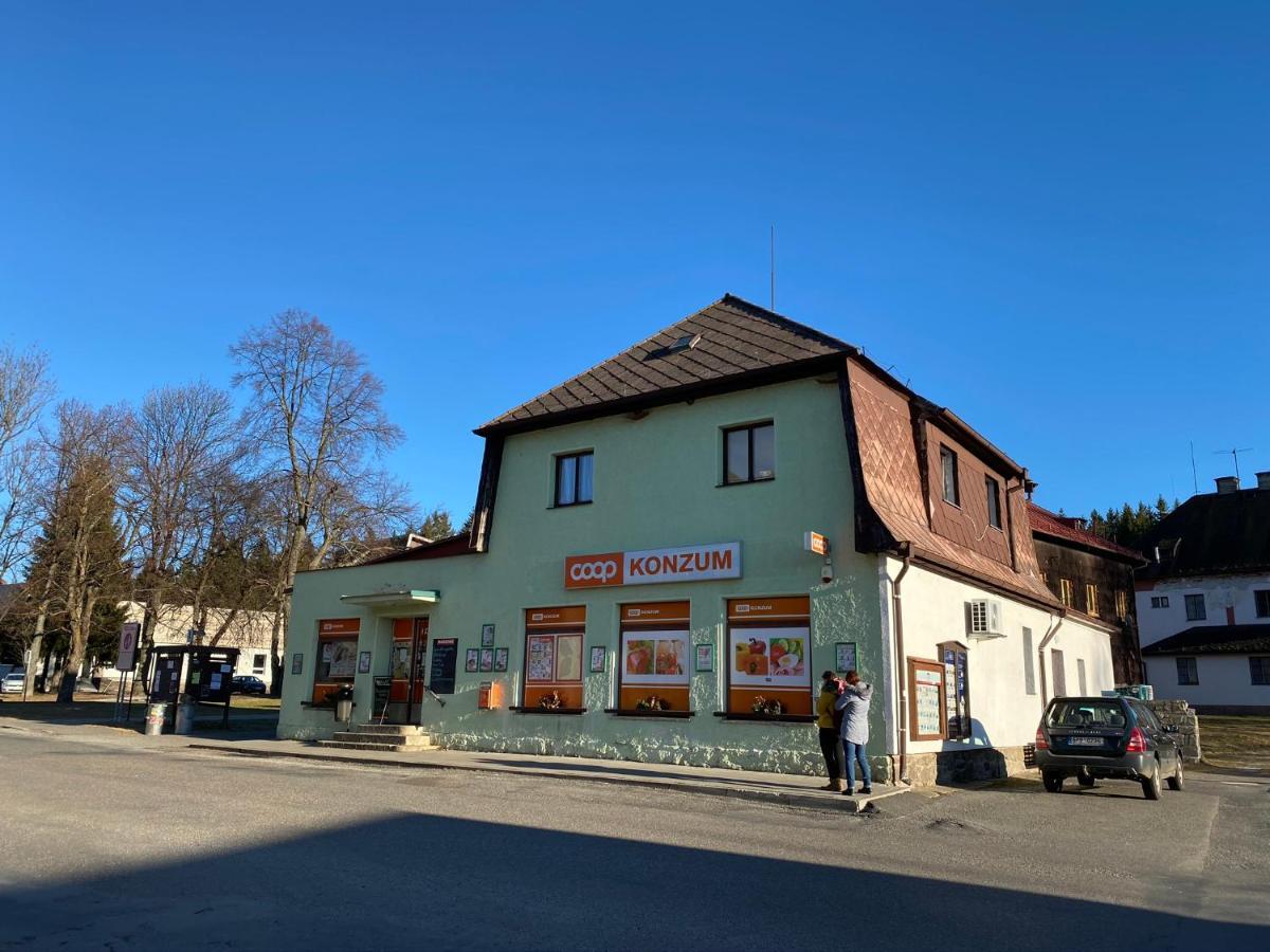 Apartman U Lesa, Srni 119 Eksteriør billede